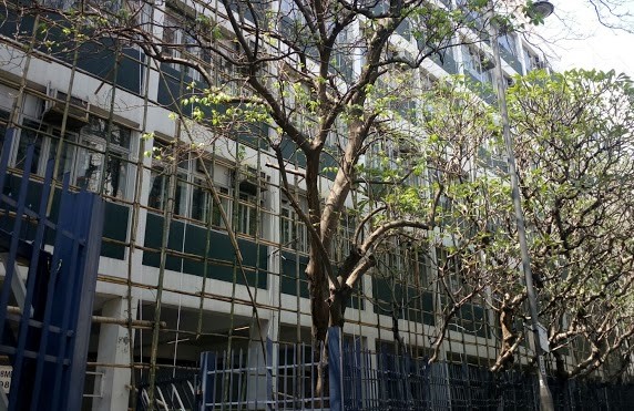 Scaffolding at the Classroom Block